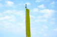 Bhutanese Vertical Prayer flags for hoisting, 7 & 10 ftx3 ft, Multicolour flags - Druksell.com