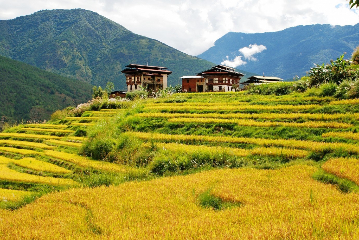 Bhutan organic farming 2020