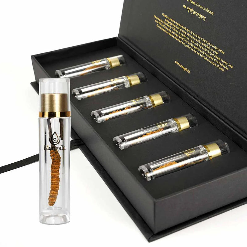 Mangala Pure cordyceps sinensis in 5 tubes