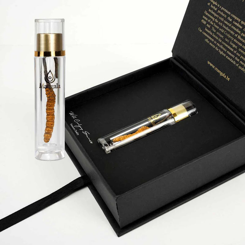 Mangala Pure Wild Cordyceps Sinensis, 1 tube