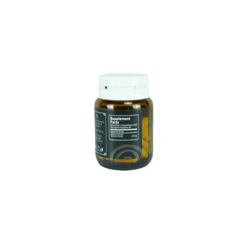 Mangala Cordyceps Capsule,  100% Cordyceps Sinensis