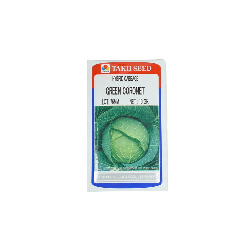 Takii Seed Green Coronet Hybrid Cabbage, Takii & Co. Ltd