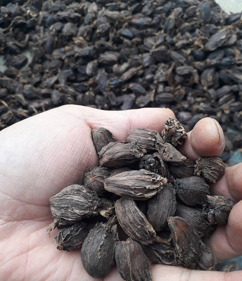 Bhutan grown cardamom