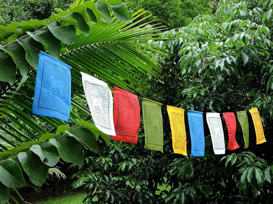 Windhorse multi colour Prayer flags (6x7 in) - Druksell.com