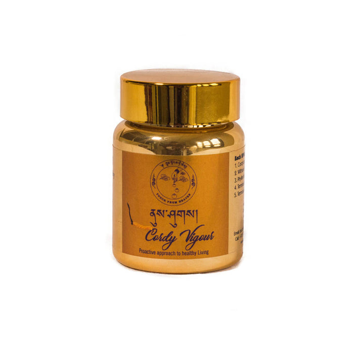 Cordy Vigour 500mg Cordycep capsule supplement (4577512620150)