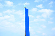 Bhutanese Vertical Prayer flags for hoisting, 7 & 10 ftx3 ft, Multicolour flags - Druksell.com