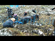 Bhutan Cordycep collectors from Bhutan | Lunana Cordyceps