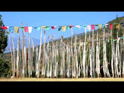 Bhutanese Vertical Prayer flags for hoisting, 7 & 10 ftx3 ft, Multicolour flags - Druksell.com