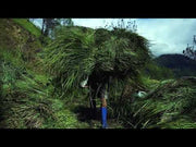 Lemongrass extraction in Bhutan