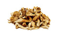 Dried Bhutan Matsutake Mushroom | 松茸 | 송이 | 松栮 - Druksell.com