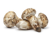 Bhutan Matsutake Mushroom | 松茸 | 송이 | 松栮 - Druksell.com