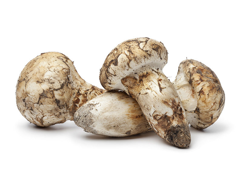 Bhutan Matsutake Mushroom | 松茸 | 송이 | 松栮 - Druksell.com