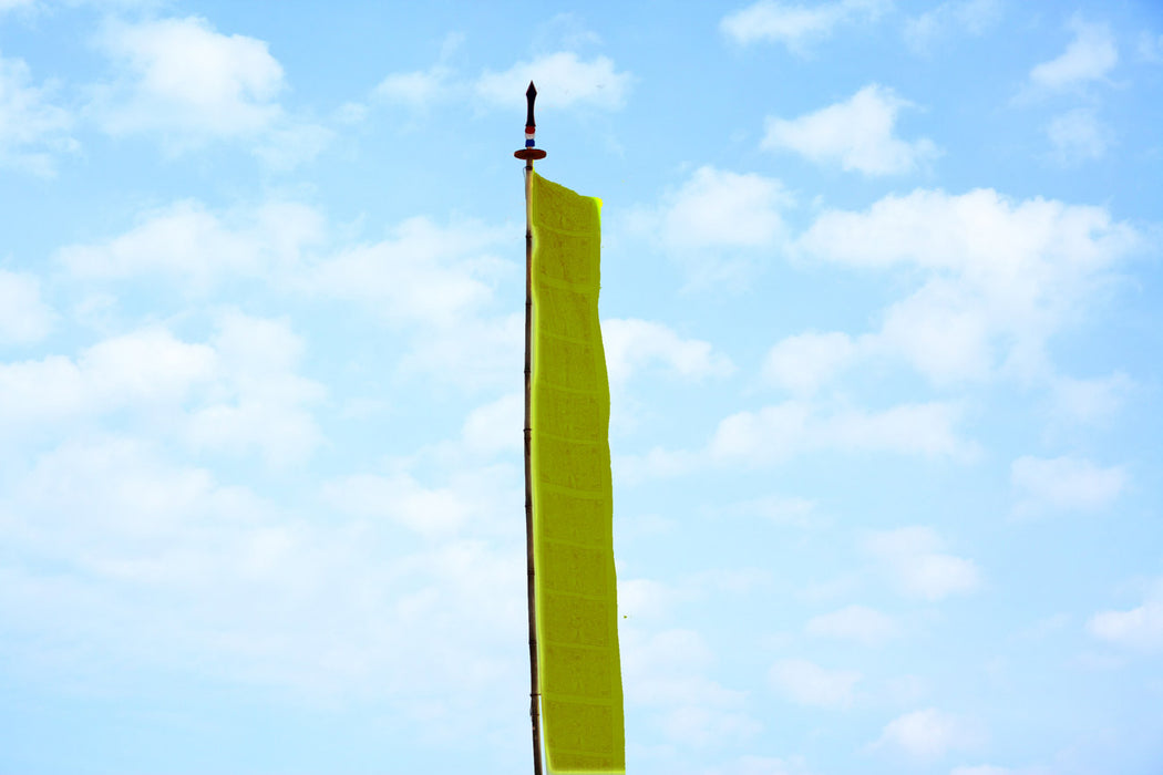 Bhutanese Vertical Prayer flags for hoisting, 7 & 10 ftx3 ft, Multicolour flags - Druksell.com